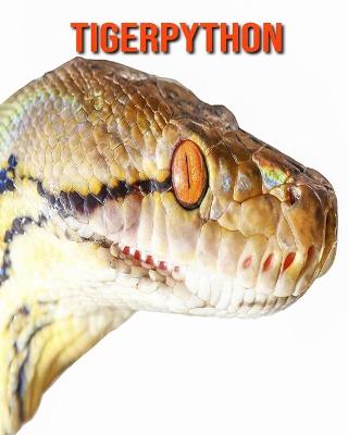 Book cover for Tigerpython