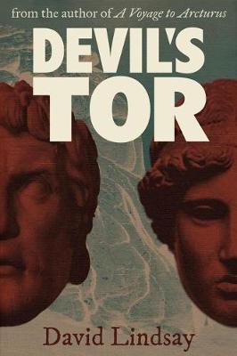 Book cover for Devil's Tor