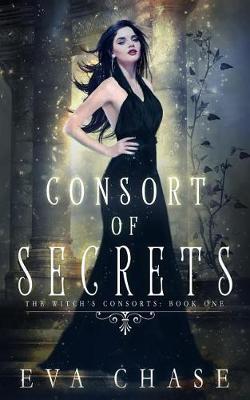 Book cover for Consort of Secrets