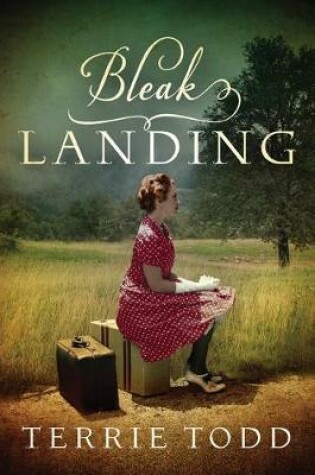 Cover of Bleak Landing