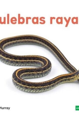 Cover of Culebras Rayadas (Garter Snakes) (Spanish Version)