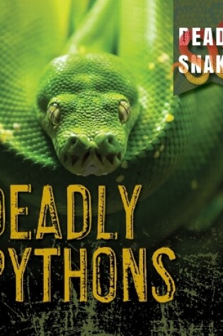 Cover of Deadly Pythons