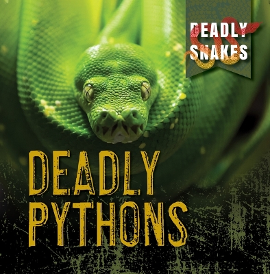 Book cover for Deadly Pythons