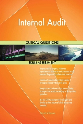 Book cover for Internal Audit Critical Questions Skills Assessment