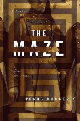 Book cover for The Maze