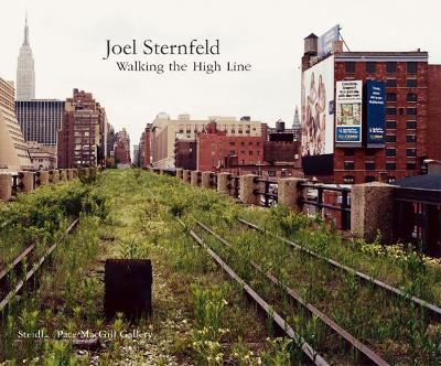 Book cover for Joel Sternfeld