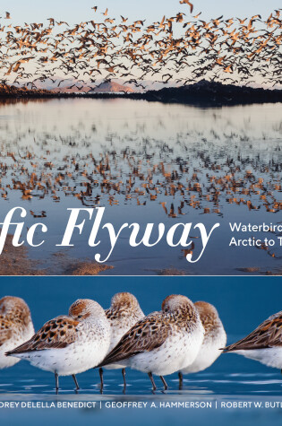 Cover of Pacific Flyway