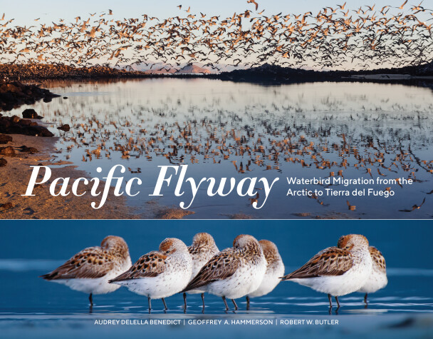 Book cover for Pacific Flyway