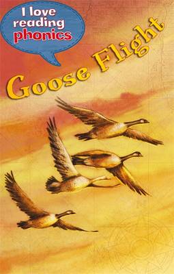 Book cover for I Love Reading Phonics Level 5: Goose Flight