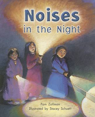 Cover of Noises in the Night