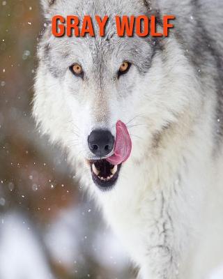 Book cover for Gray Wolf