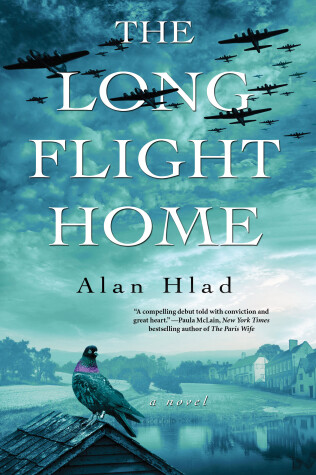 Book cover for The Long Flight Home
