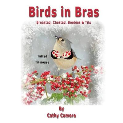 Book cover for Birds in Bras