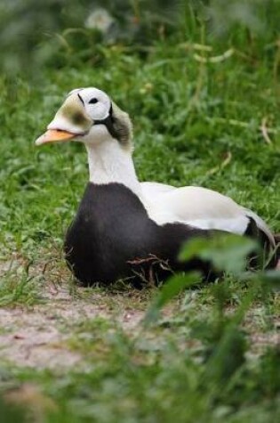 Cover of Spectacled Eider Journal