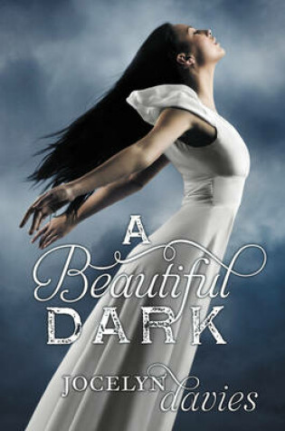 Cover of A Beautiful Dark