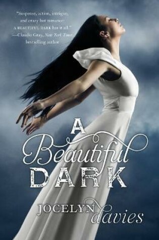 Cover of A Beautiful Dark