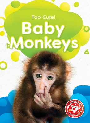 Cover of Baby Monkeys