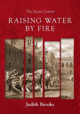 Book cover for Raising water by fire