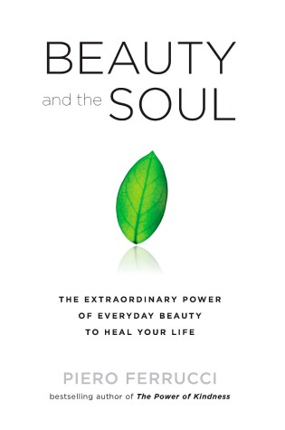 Cover of Beauty and the Soul