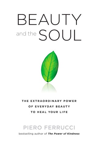 Book cover for Beauty and the Soul