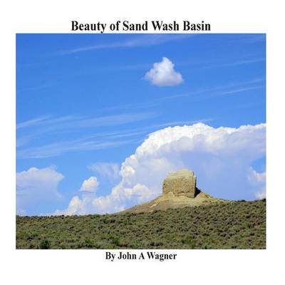 Book cover for Beauty of Sand Wash Basin