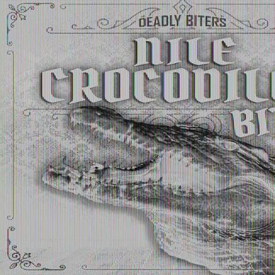 Cover of Nile Crocodiles Bite!
