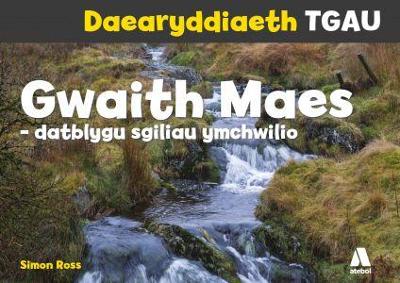 Book cover for Daearyddiaeth TGAU: Gwaith Maes - Datblygu Sgiliau Ymchwilio