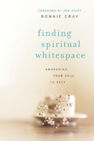 Cover of Finding Spiritual Whitespace