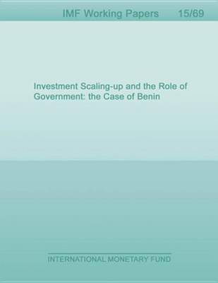 Book cover for Investment Scaling-Up and the Role of Government