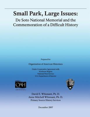 Book cover for Small Park, Large Issues