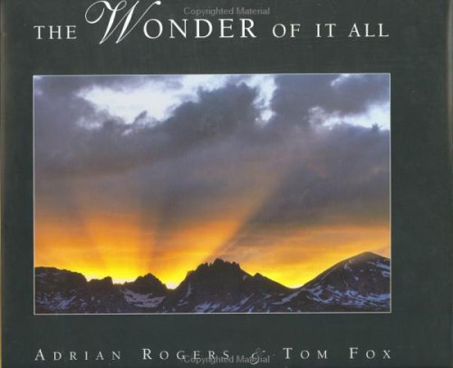 Book cover for The Wonder of It All