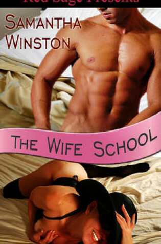 Cover of The Wife School