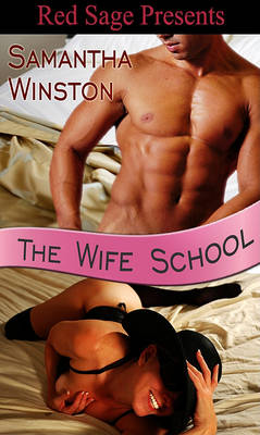 Book cover for The Wife School