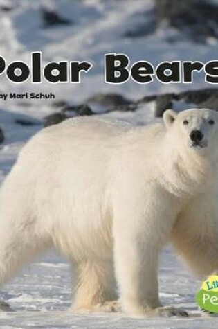 Cover of Polar Bears