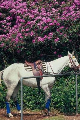 Cover of Equine Journal Polo Pony Awaiting Chukker