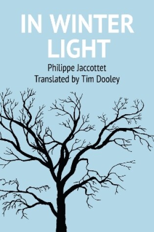 Cover of In Winter Light