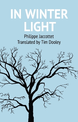 Book cover for In Winter Light