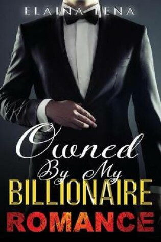 Cover of Owned by My Billionaire