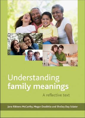 Book cover for Understanding Family Meanings