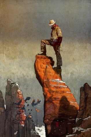 Cover of Dark Tower: The Gunslinger: The Man in Black