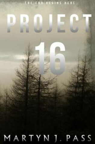 Cover of Project 16