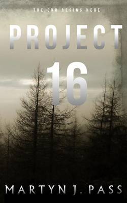 Book cover for Project 16