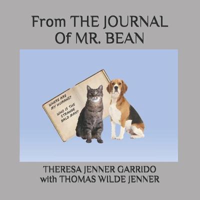 Book cover for From The Journal of Mr. Bean