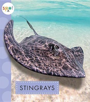 Book cover for Stingrays