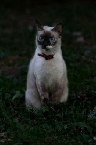 Cover of Burmese Cat Notebook