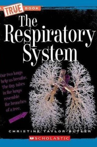 Cover of The Respiratory System (a True Book: Health and the Human Body)