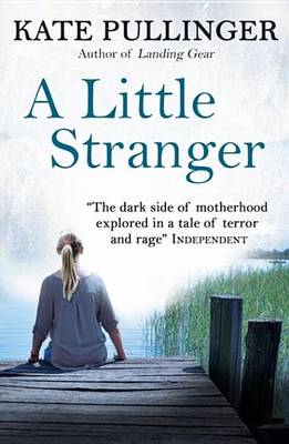 Book cover for A Little Stranger
