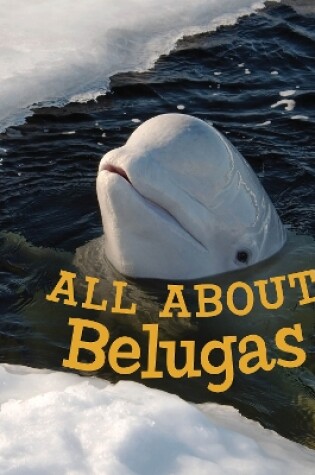Cover of All about Belugas