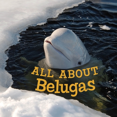 Cover of All about Belugas