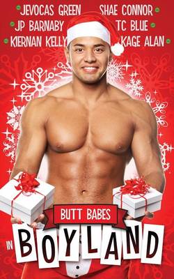 Book cover for Butt Babes in Boyland